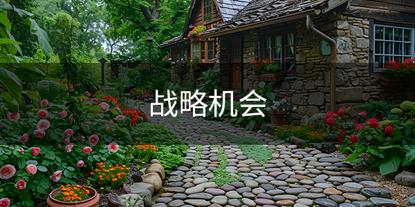 战略机会