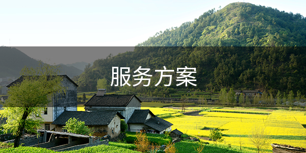 服务方案