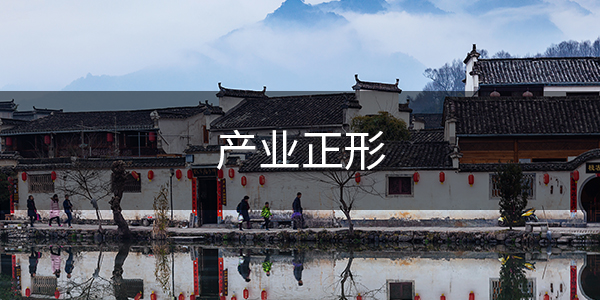 三、特色小镇中多元化的产业地位多“重”？——产业正形