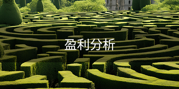 9、 盈利分析