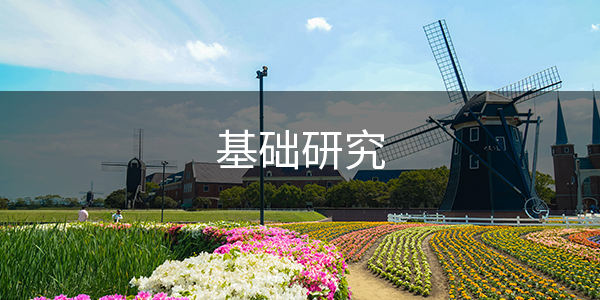 1、基础研究